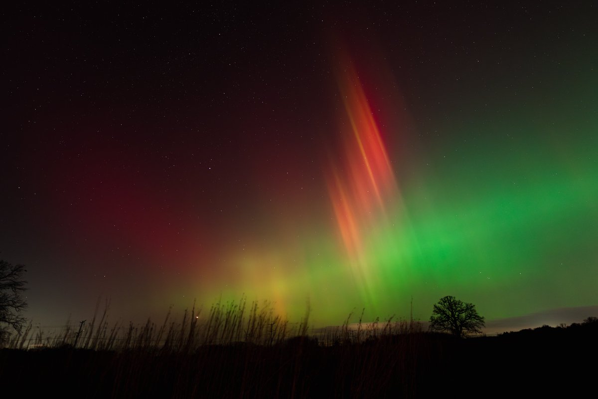 Nick Penev tweet media