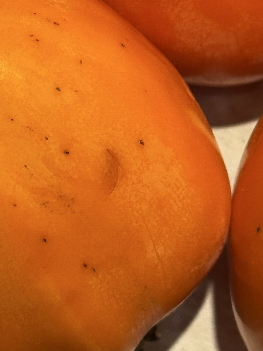 я уєв tweet media