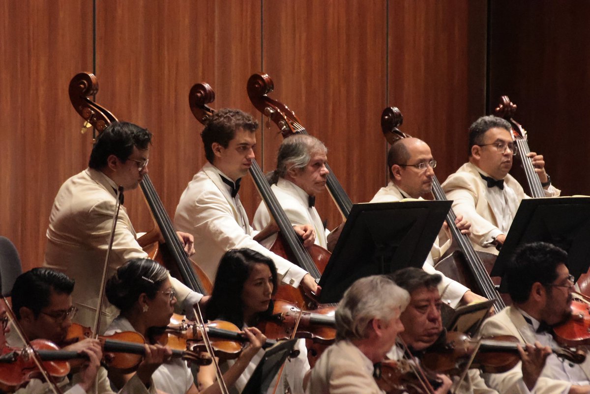 PalacioOficial's tweet image. El programa “Academia de las Artes” de la  @OSN_MX   unirá la fuerza y el virtuosismo en un recorrido sonoro que celebra la pasión y la creatividad, con la dirección de Juan Carlos Lomónaco✨
🗓️Domingo 23 • 12:15h
📍Sala Principal
🎟️Boletos en taquilla y  n9.cl/i8exs