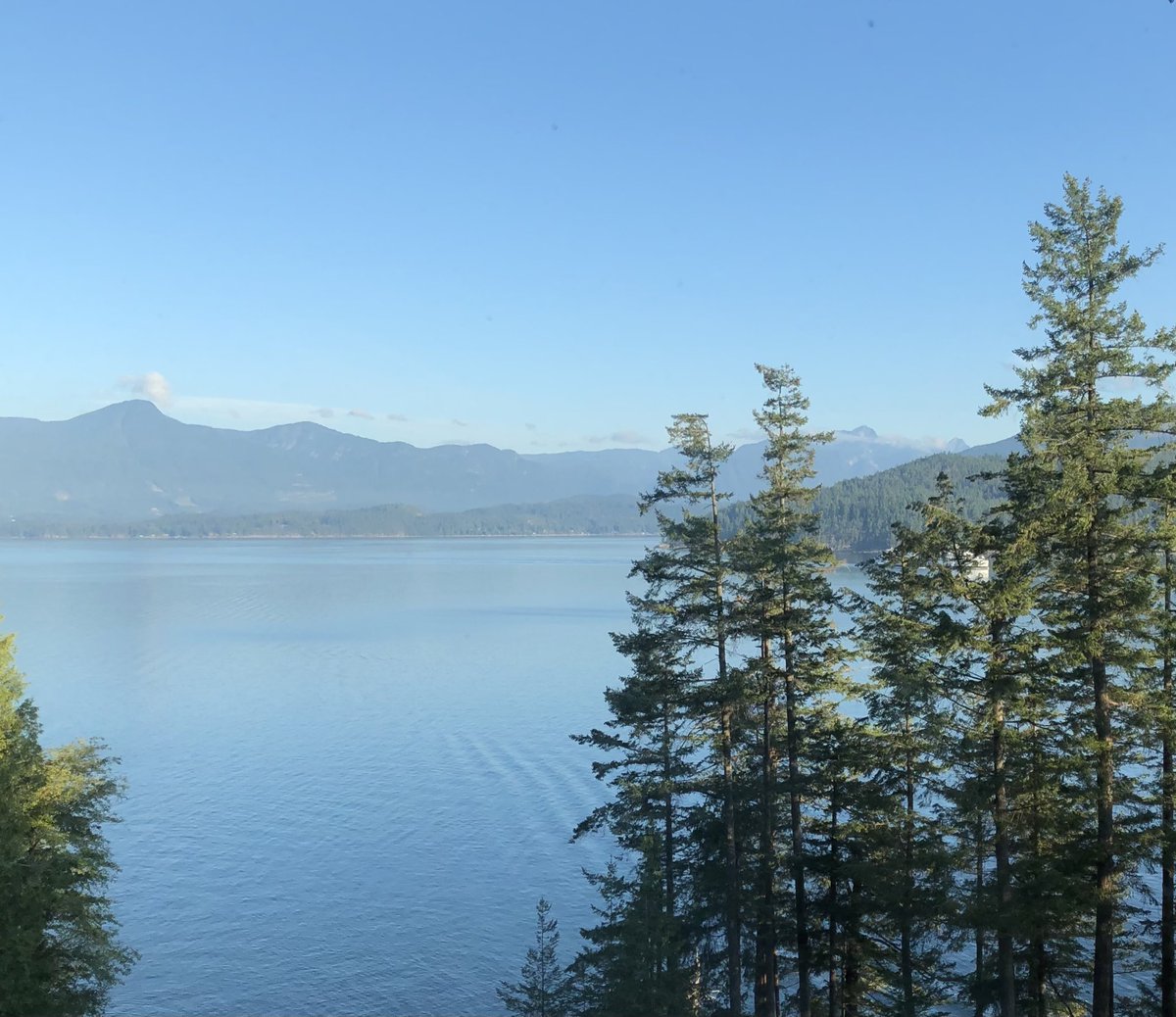 wave_express's tweet image. Beautiful fall views before the rain and snow hit. 🍁#drivesafe #fallviews #rvtransport