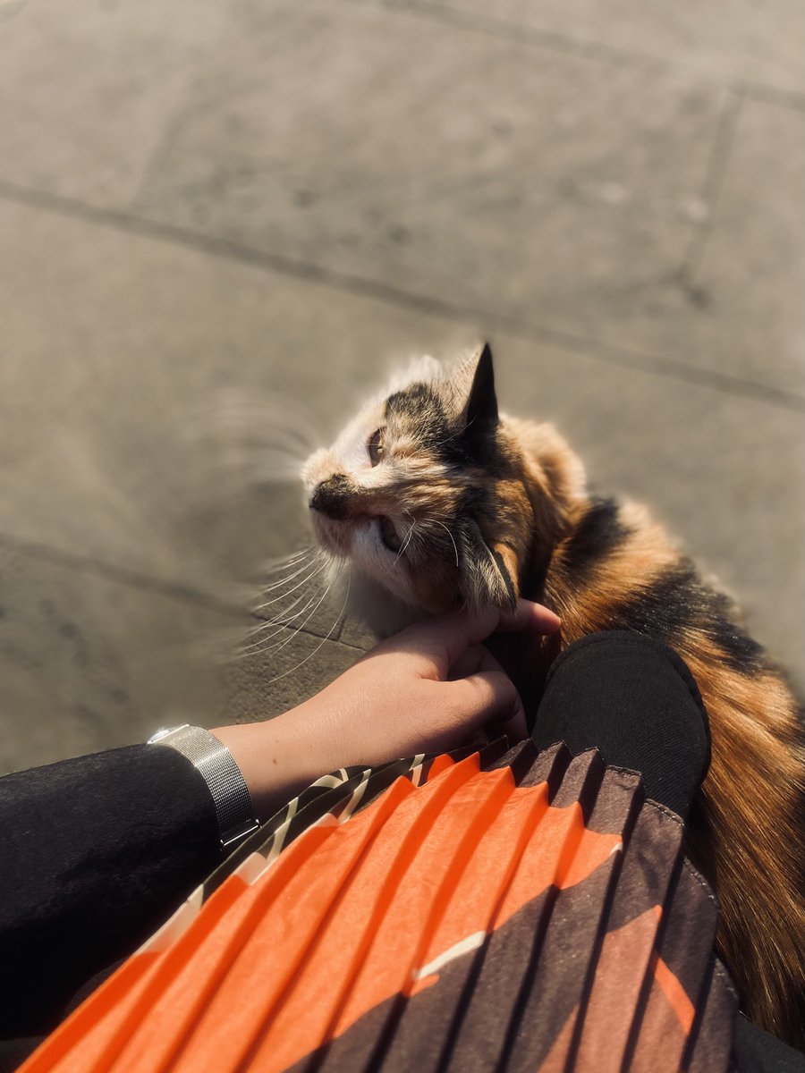 Flora bu boyutu ben kazandırdım sayın infulanzırrlar, çalmayın!😂