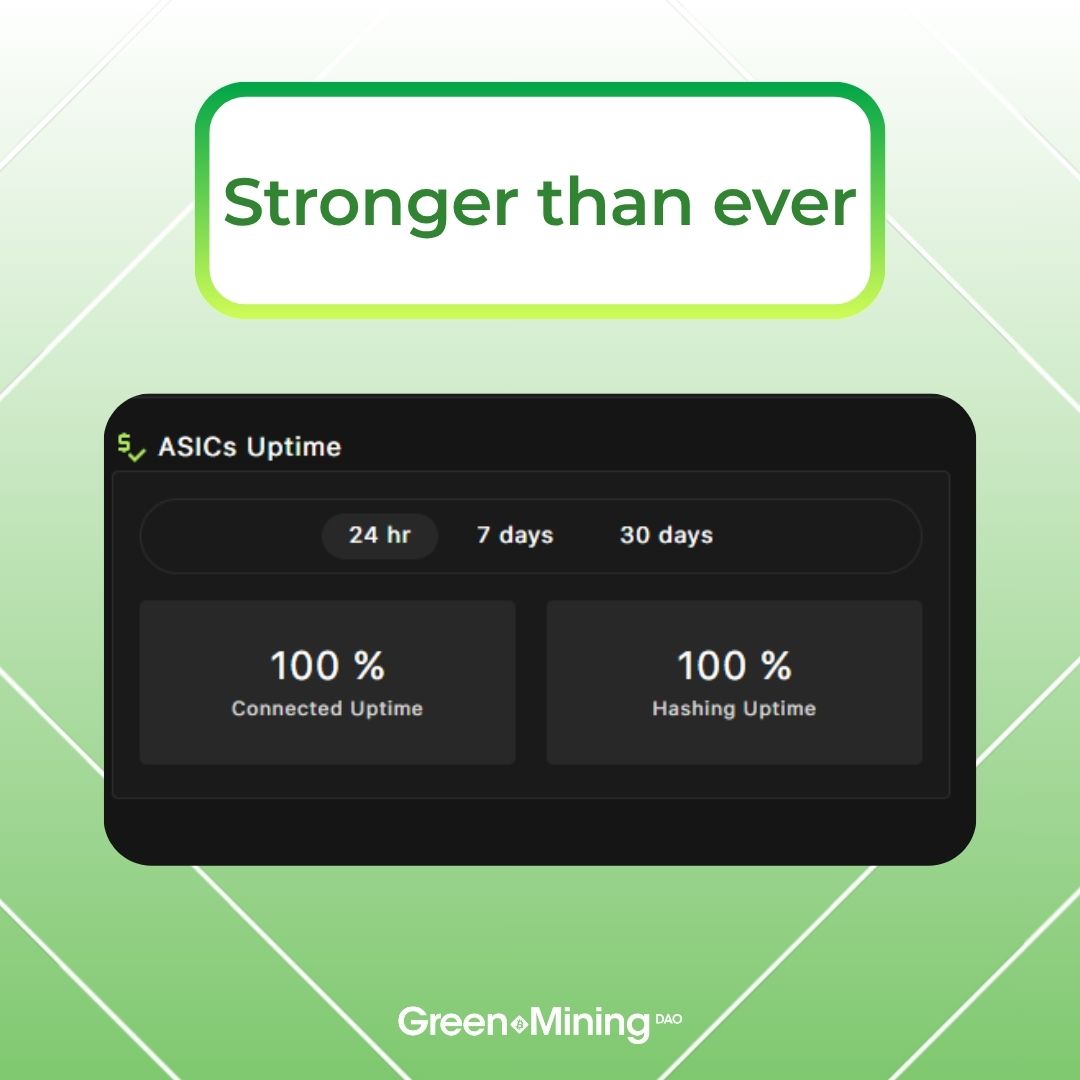 Greenminingdao's tweet image. Hard Work Pays Off: GM3 Hits 100% Uptime 🔧⚡

Big milestone for our Green Mine #003 site in Villarrica, Paraguay:

100% uptime of our ASICs — for the first time ever

Our best performance so far*. 🎉

This kind of uptime is far from standard. Few industrial mining sites ever…