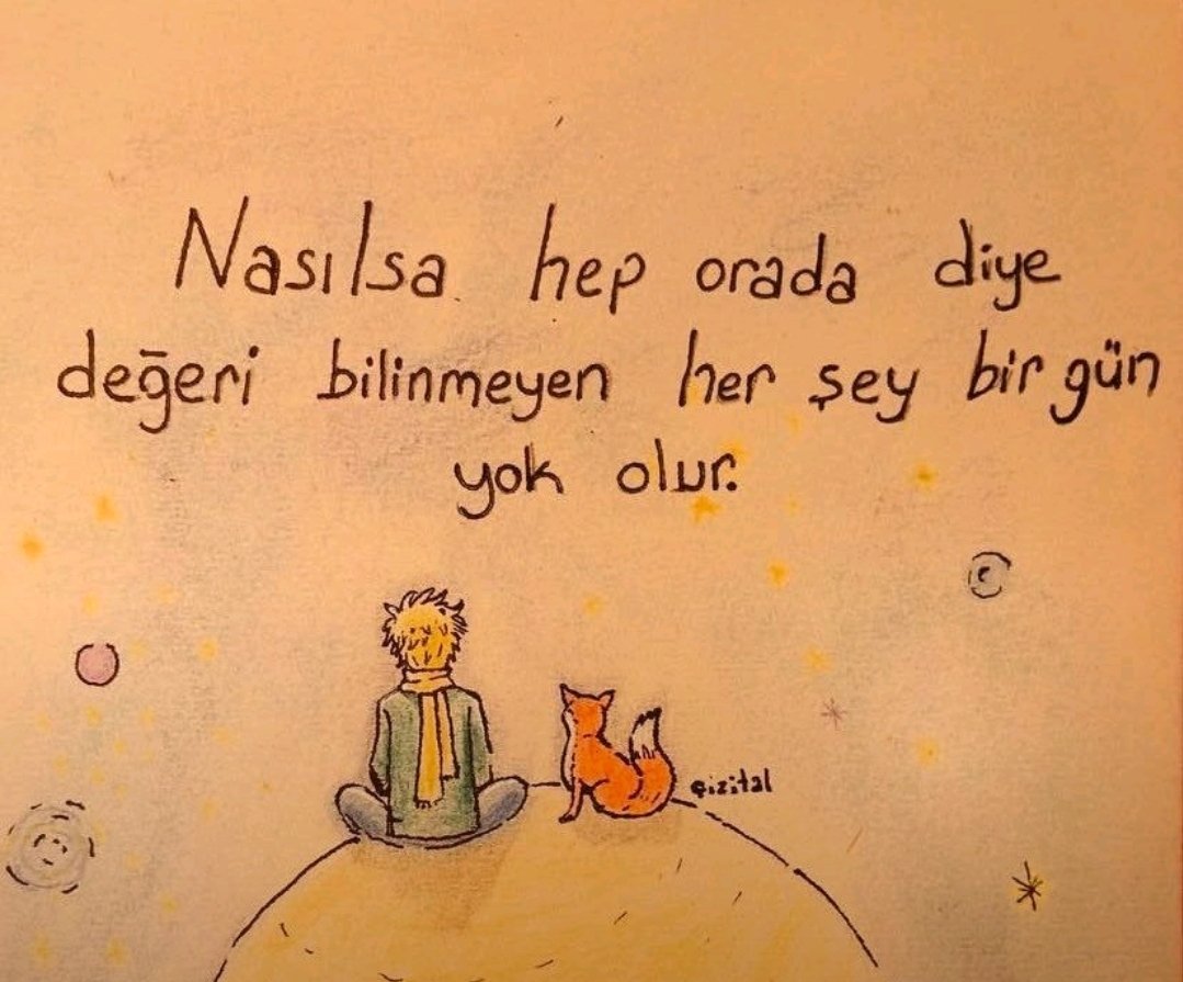 Adem Yavaş Ay (@ademyavasay) on Twitter photo 