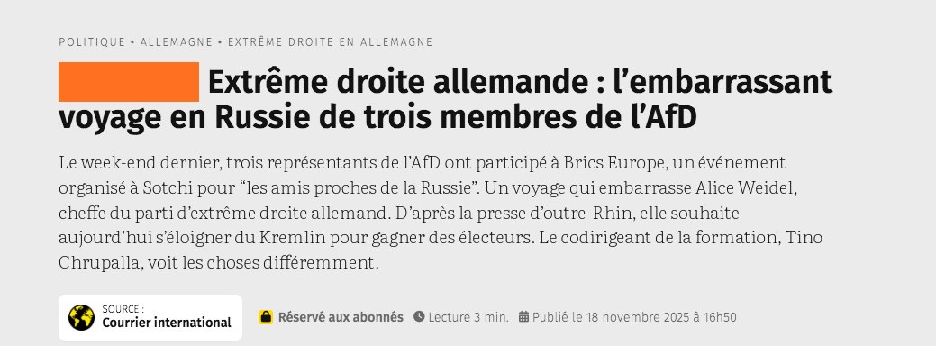 Extrême droite allemande : l’embarrassant voyage en Russie de trois membres de l’AfD