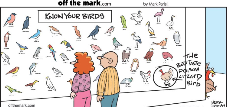 maryannwrites's tweet photo. Think it'll work? #turkeylife https://t.co/13NLV4elsO