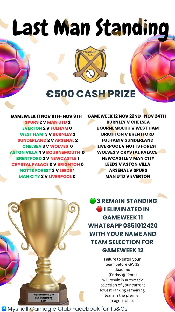 Myshall Camogie Club tweet media
