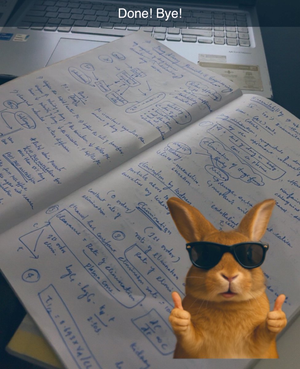 • 𝐫𝐡𝐚𝐞𝐠𝐚𝐫 • tweet media