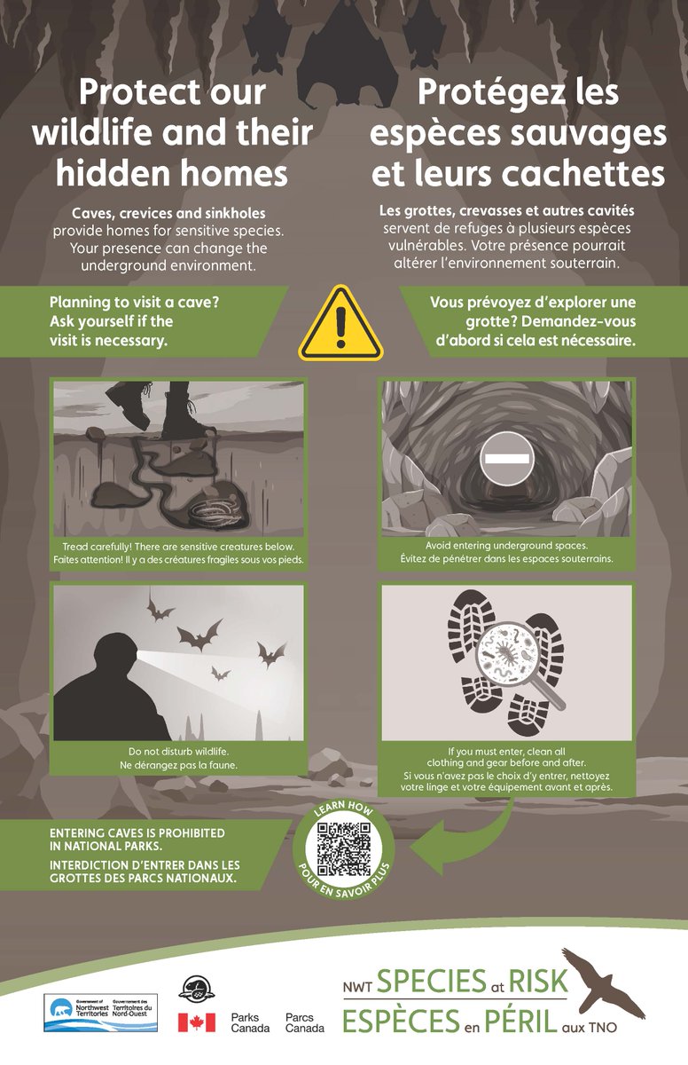 Your footsteps can change the underground environment.
Caves and crevices are vital wildlife habitats:
•Avoid entering
•Tread carefully 
•Do not disturb wildlife
•If you must enter, clean all clothing and gear before and after. 

Learn how: cwhc-rcsf.ca: Canadian