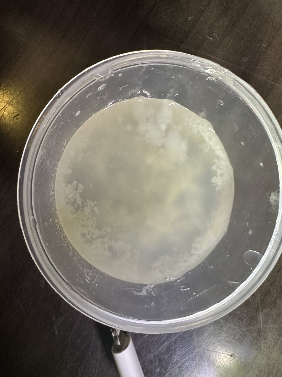 橘 Tachibanana tweet media