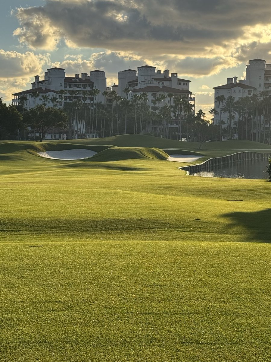 bubbaturfguy's tweet image. Morning Walk courtesy of DP #suplife #golfcoursemaintenance #golf #fisherisland @dplunkett