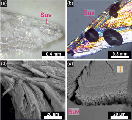 American Mineralogist:
The transformation of magnesium phosphate minerals at atmospheric conditions: Mechanisms, kinetics, and environmental applications
Rebecca Volkmann, Roberts Blukis, Christian Schmidt, Pablo Forjanes, and Liane G. Benning
doi.org/10.2138/am-202…