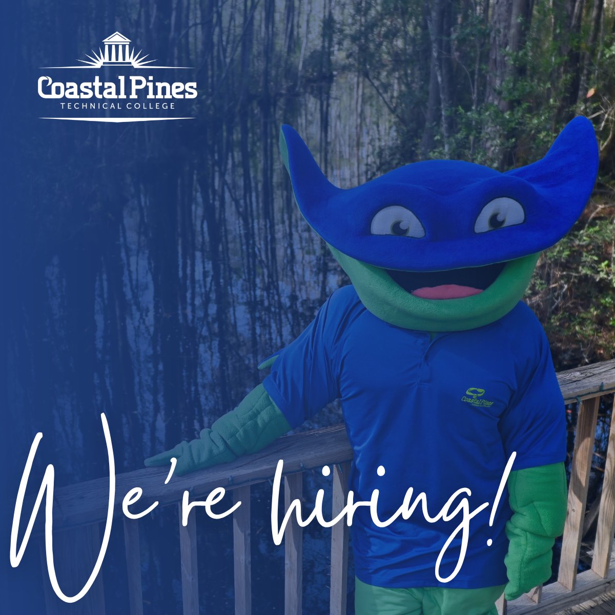 We're looking to fill a Grants  Coordinator role for our College Advancement Division! 

Check out the job posting here. ➡ ow.ly/XWnn50XtEar