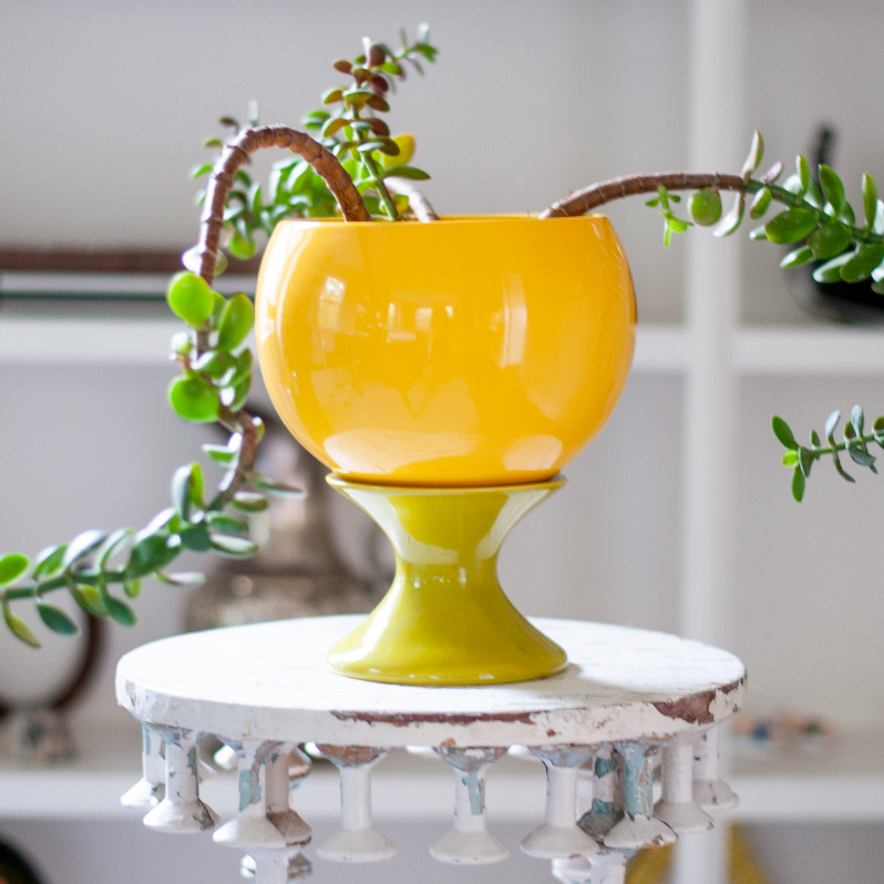 jschatzstudio's tweet image. New Season, New Work - mailchi.mp/jschatz/newsea…