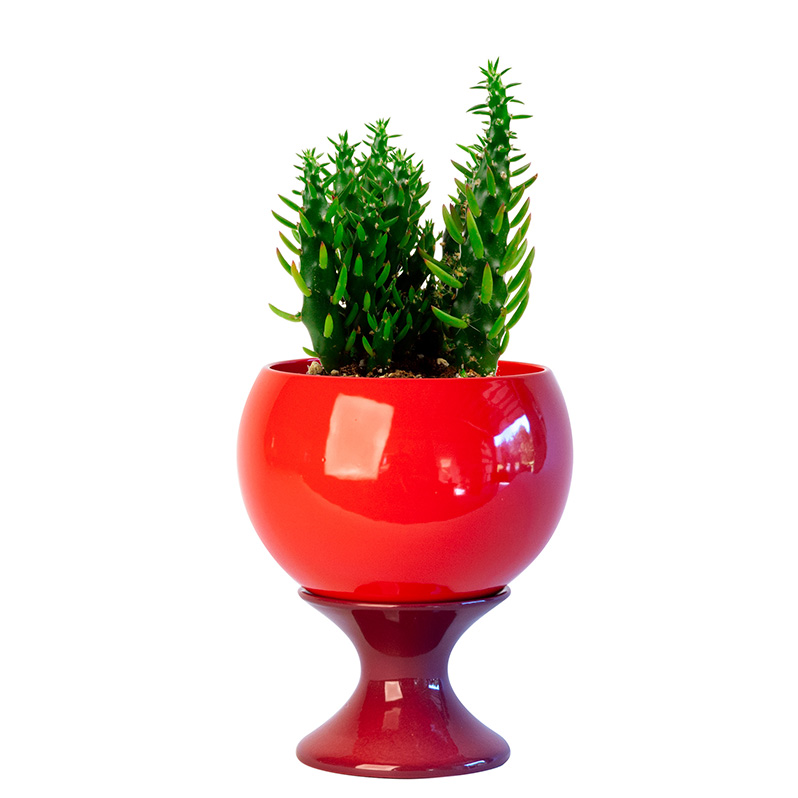 jschatzstudio's tweet image. New Season, New Work - mailchi.mp/jschatz/newsea…