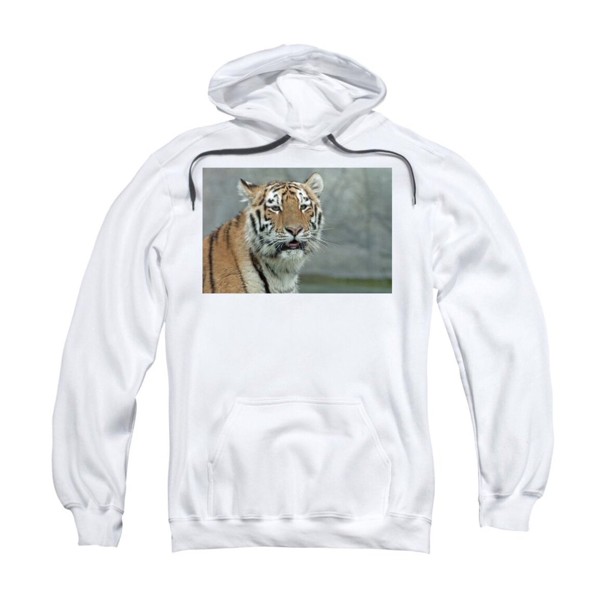 50% off ALL Apparel today only!

fineartamerica.com/featured/tiger…

#BuyIntoArt