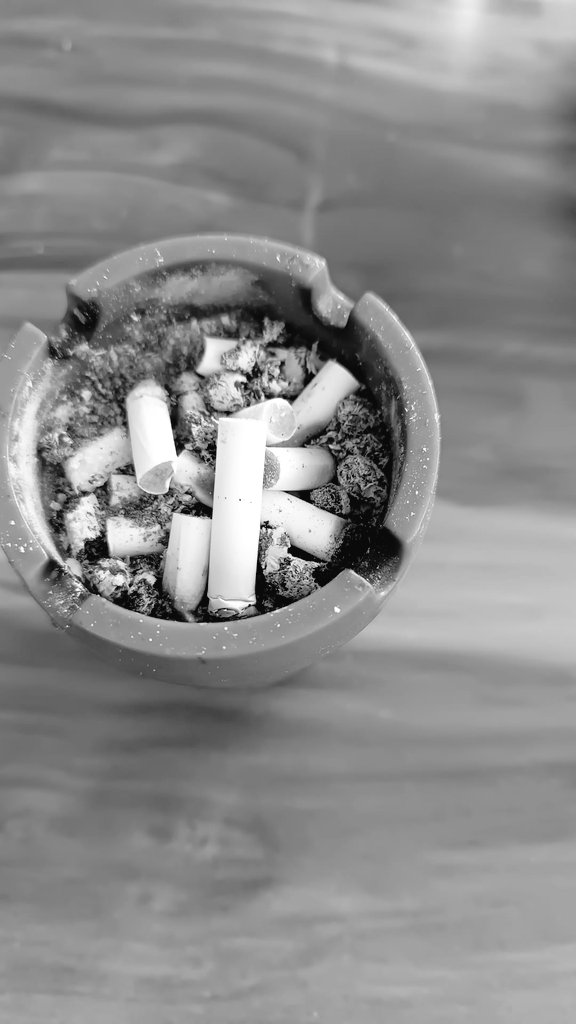 Söylesene hafız, zemheri gönlü hangi yaz güneşi ısıtır.