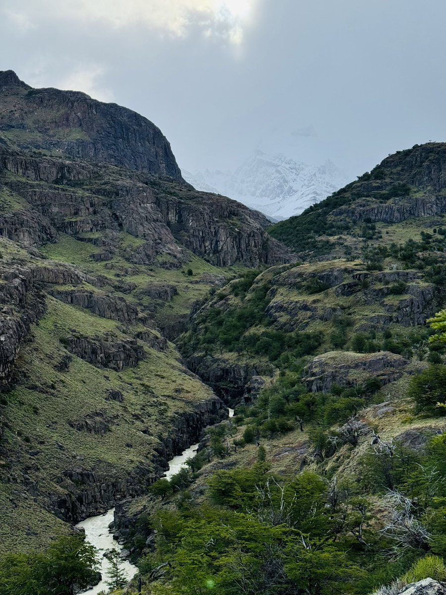 Martin Larsson tweet media