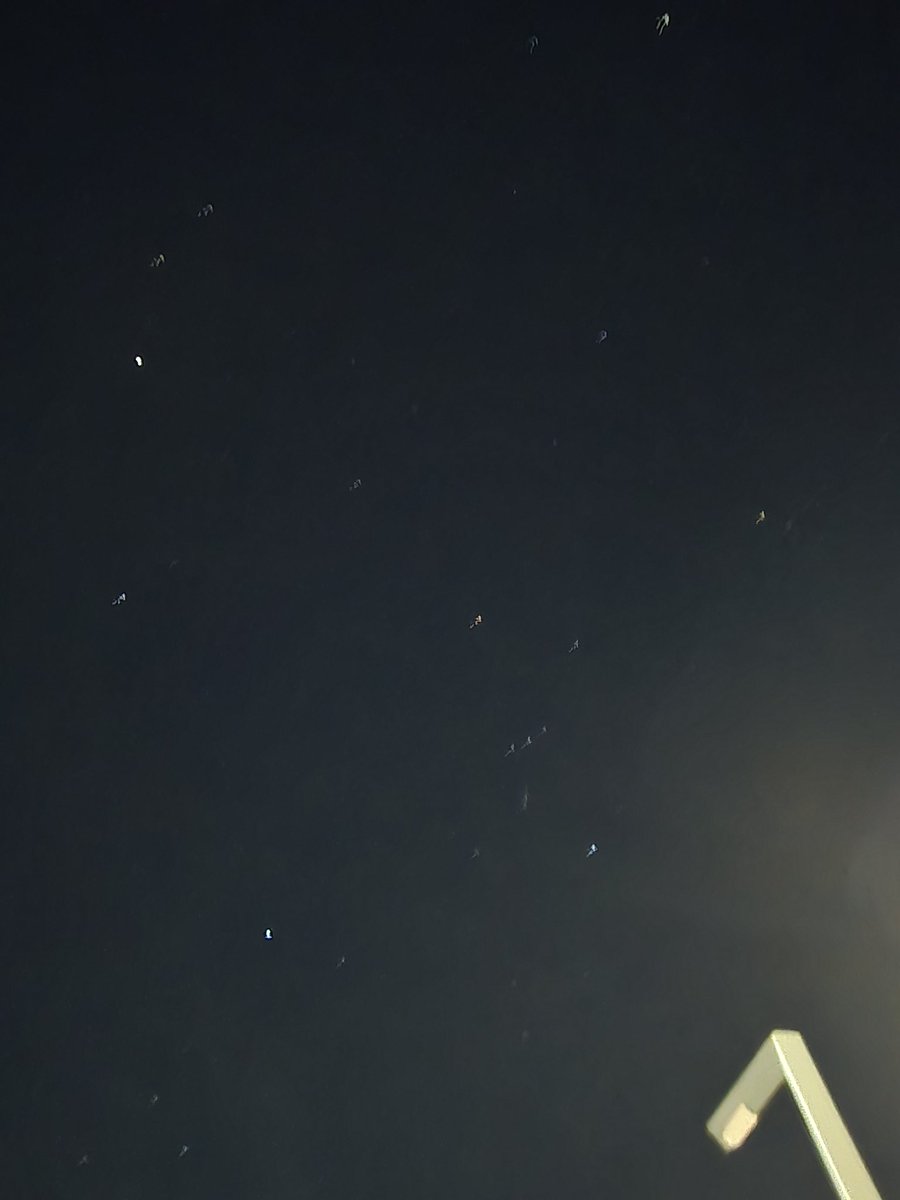 いまだ帰れない