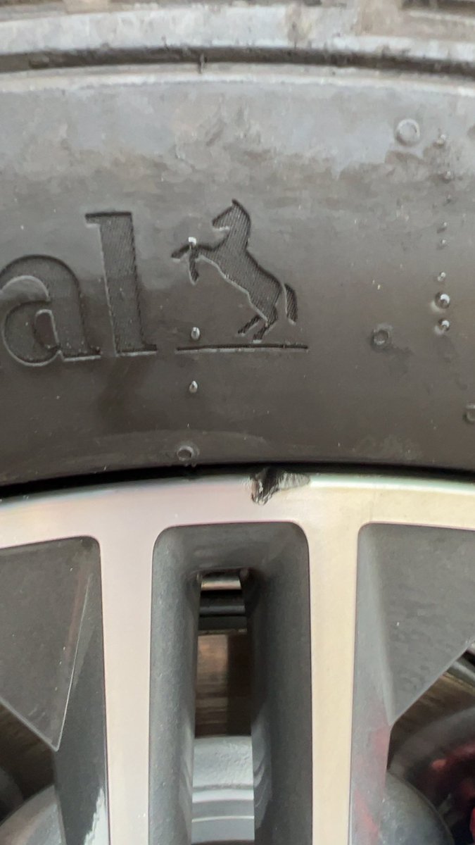 Low pressure found this lil guy. 

🤦‍♂️