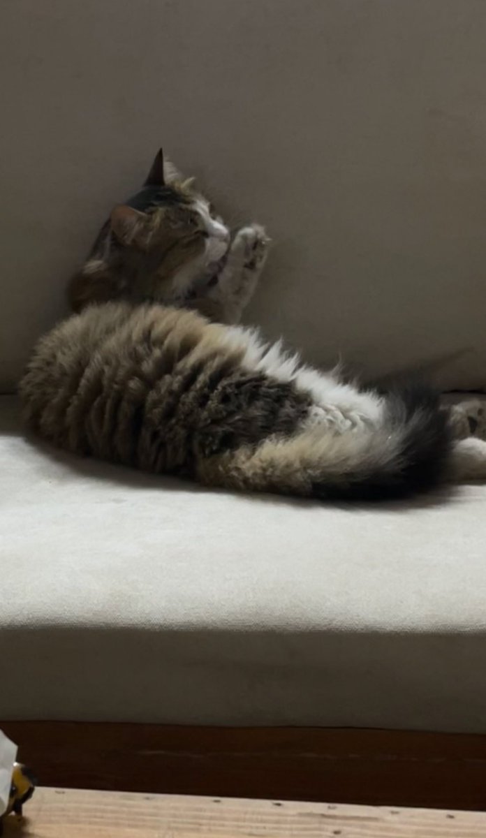 ii_r3d's tweet image. اجلس مع اشخاص ترتاح لهم..
انا بالشاهي في جلسة الحوش مع شخصي المفضل: