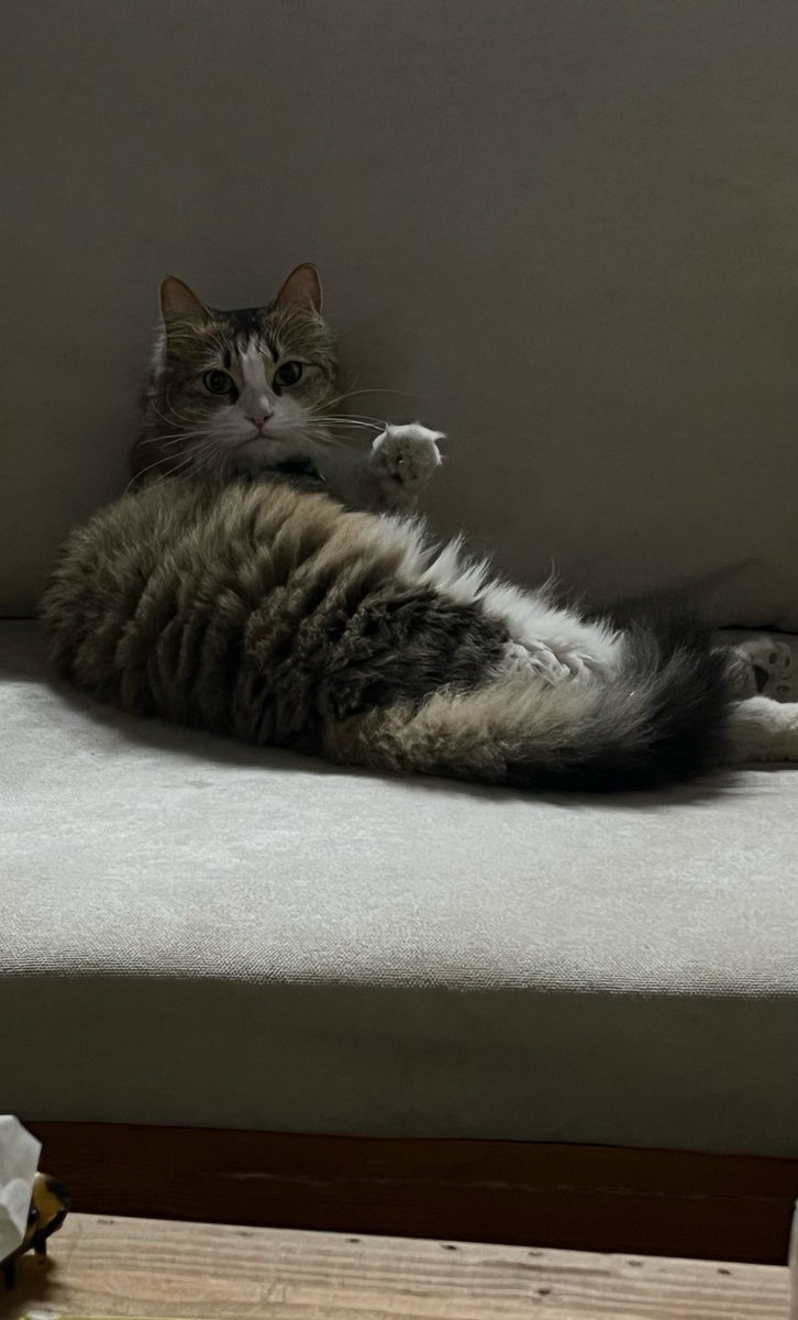 ii_r3d's tweet image. اجلس مع اشخاص ترتاح لهم..
انا بالشاهي في جلسة الحوش مع شخصي المفضل: