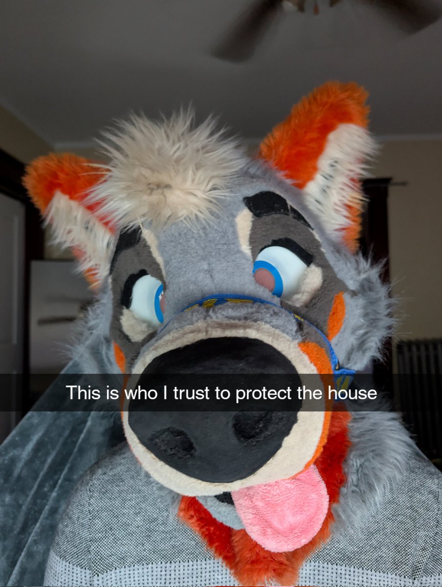 PartDoggo's tweet image. My guard dog 🐶