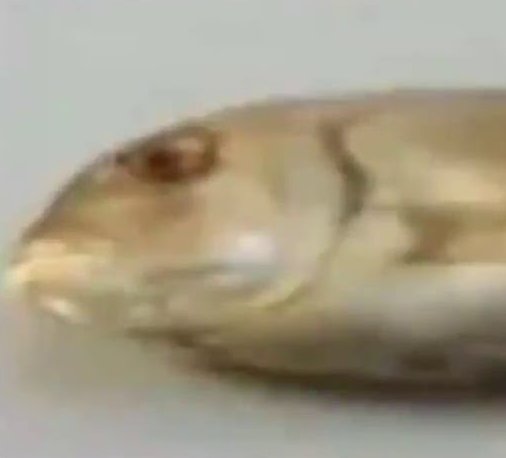 FNFSIXPIECES's tweet image. Credits