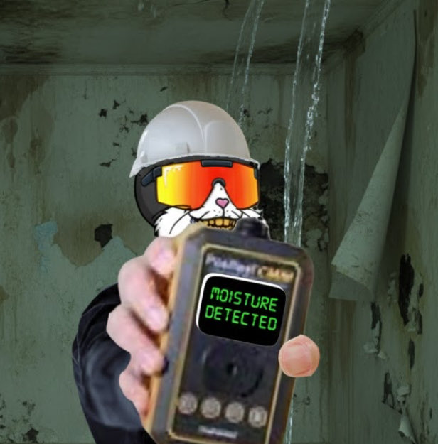 Just confirmed if this upcoming <a href="/Bodhi_Cet/">Bodhi_Cet</a> mint is wet 👀

$BODHI
🐈‍⬛💦