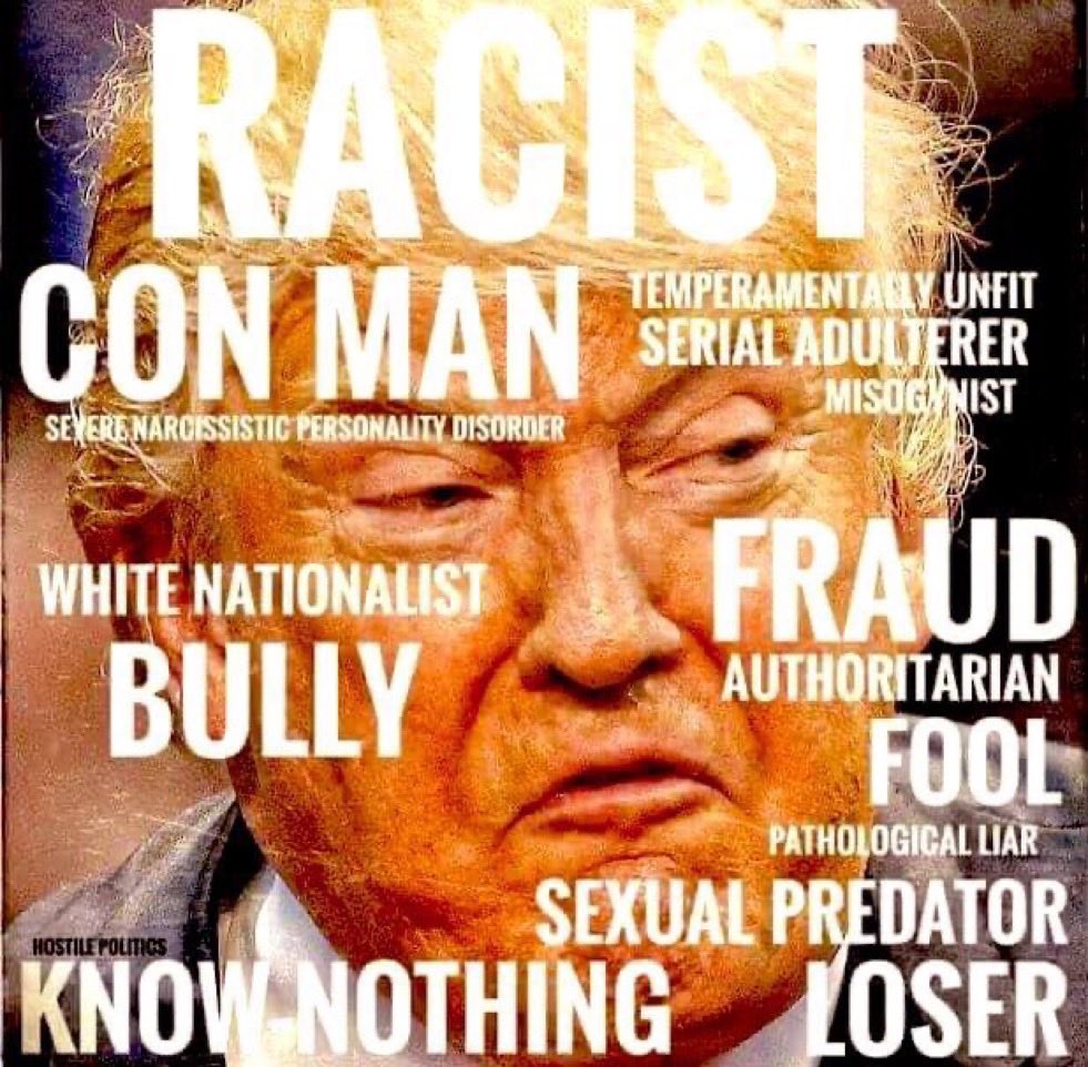 Trina D. #VoteBlueToSaveOurDemocracy🇺🇸🌊 tweet media