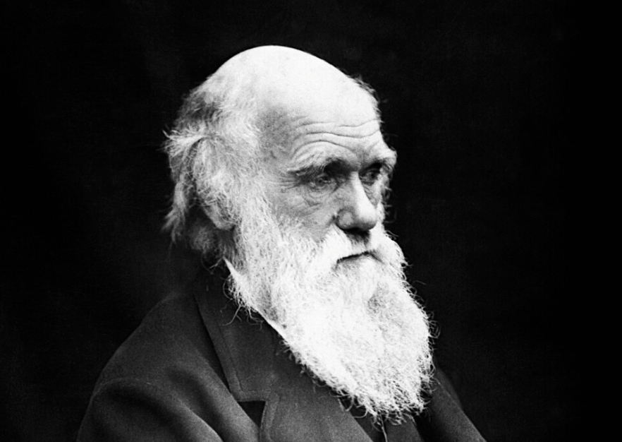 RenovatioOnline's tweet image. NEW: It is a myth that Darwin invented evolution through pure scientific insight. His theories were heavily informed by his theological worldview and Victorian society.

Most people picture Darwin as a cold, secular scientist who debunked God with facts but the reality is almost…