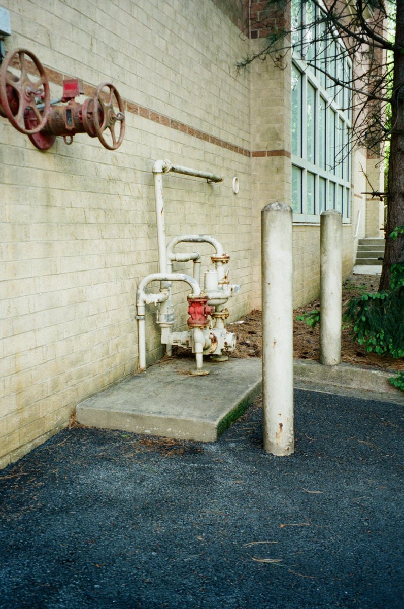 SimulationRot's tweet image. these are all from different rolls of film, idk why i took them