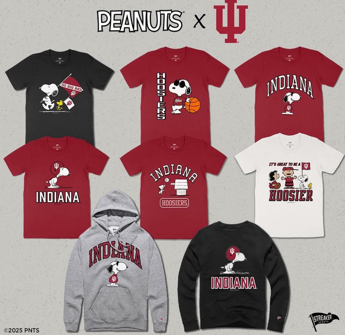 HoosierStateofMind tweet media