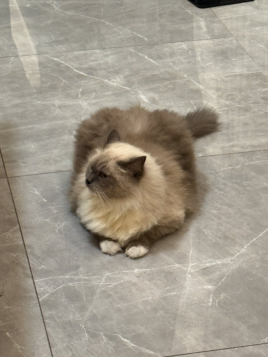 Web3热宝学AI tweet media