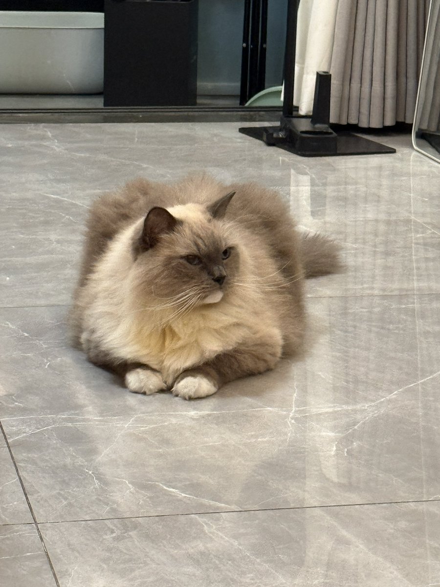 Web3热宝学AI tweet media