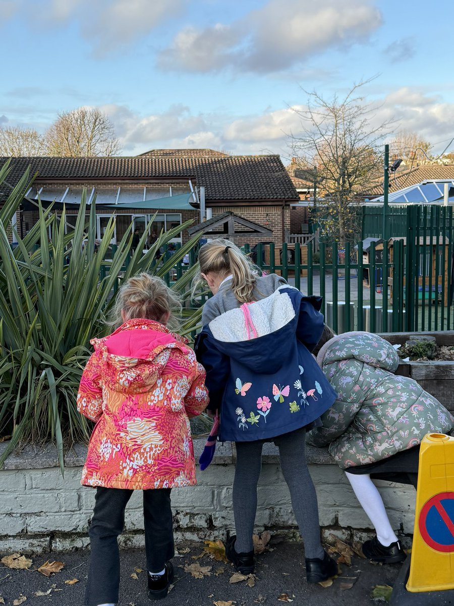 ManorParkSchSM1's tweet image. Incredible science in Diamond Class! 🔬 We explored animal and plant adaptations by getting hands-on. From camouflaging our own moths outside to identifying unique plant features, we discovered how living things thrive! 🌱🦋 #WeAreLEO #MPPAScience