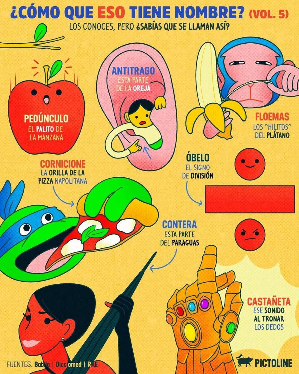 ErrorGramatica's tweet image. 