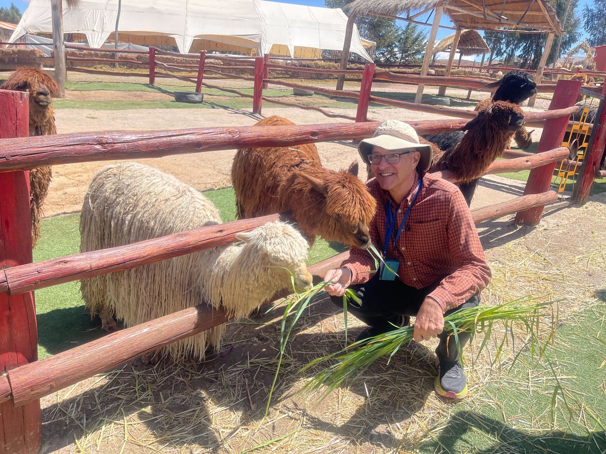 caltechalumni's tweet image. From Lima to Machu Picchu, our Peru Techer Alumni Tour was unforgettable. Thank you to all who joined! Ready for your next adventure? Join us in Finland (February 2026) or Spain (August 2026). See upcoming tours and events: alumni.caltech.edu/events

#CaltechAlumni #TecherTravels