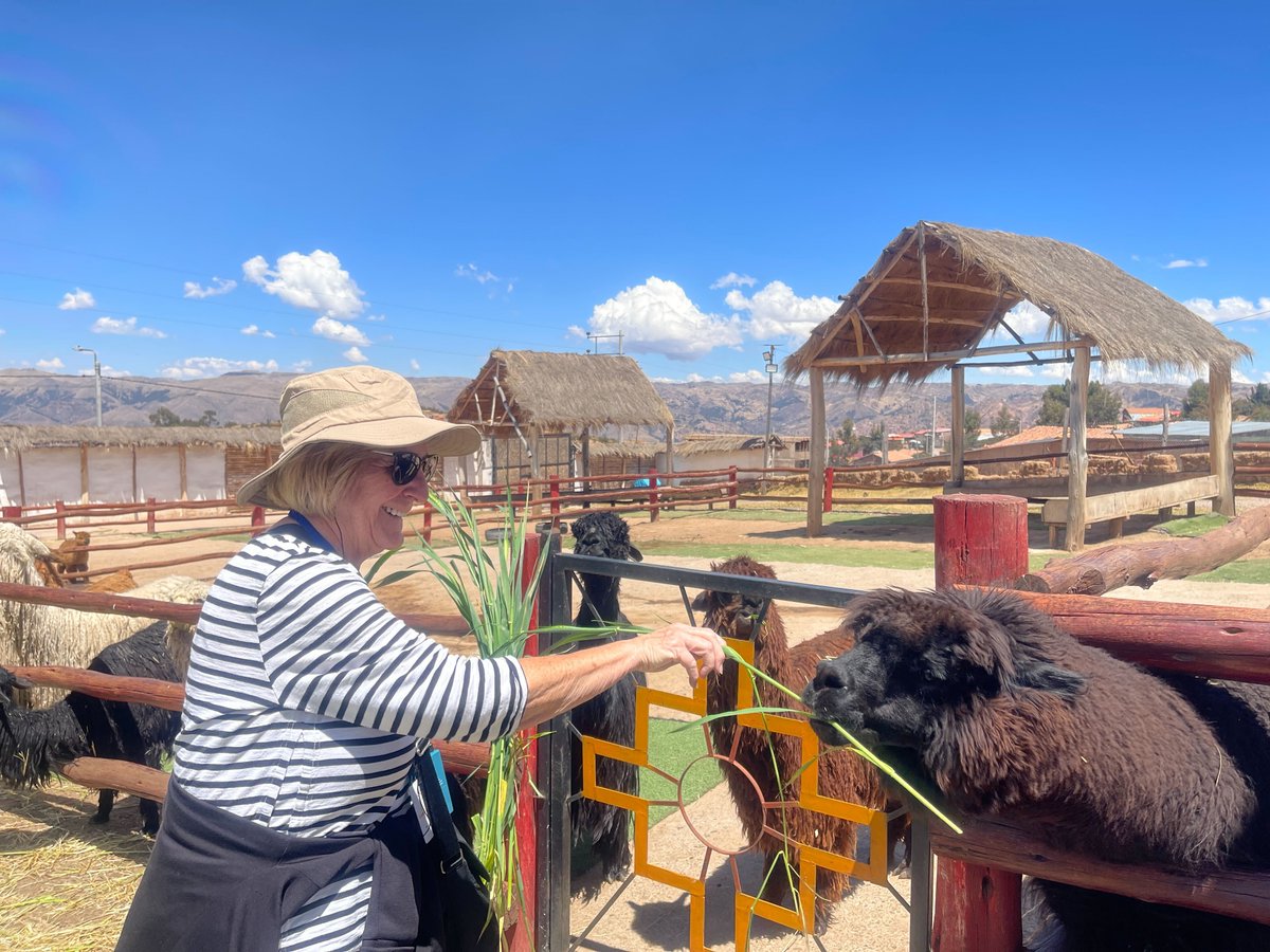 caltechalumni's tweet image. From Lima to Machu Picchu, our Peru Techer Alumni Tour was unforgettable. Thank you to all who joined! Ready for your next adventure? Join us in Finland (February 2026) or Spain (August 2026). See upcoming tours and events: alumni.caltech.edu/events

#CaltechAlumni #TecherTravels