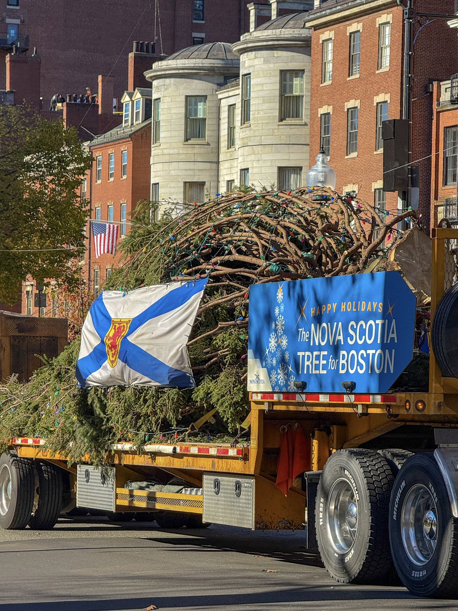 Every year, Nova Scotia sends Boston a <a href="/TreeforBoston/">Tree for Boston</a>, the official Christmas Tree of the City. 

It’s a token of appreciation for the assistance Boston sent to Halifax following a massive explosion in 1917.  Today, it serves as a symbol of an enduring friendship. 🇨🇦🇺🇸