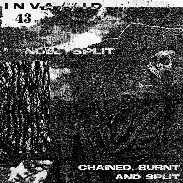 An angry, vibrant blast of many different styles but mostly EBM
#NullSplit 
