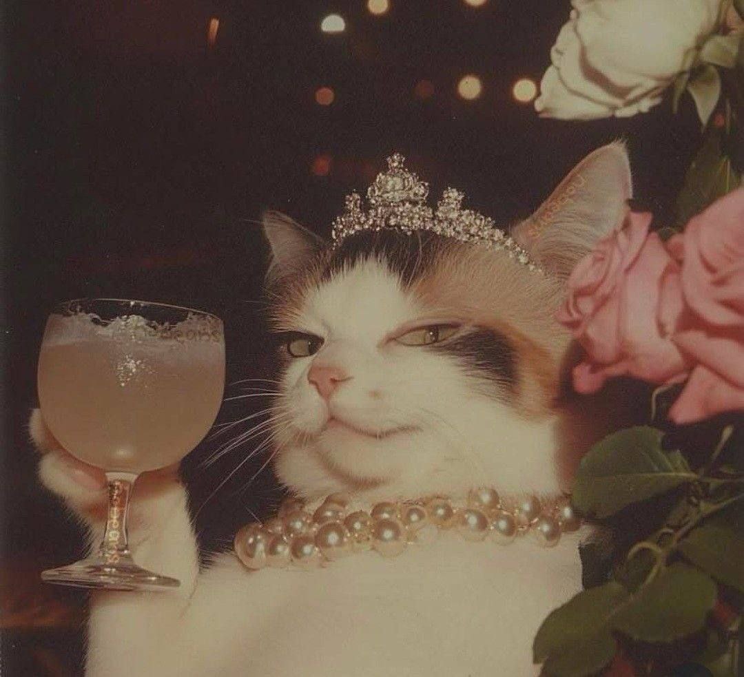 POV: Your cat shorted the market right before the $1B liquidation wave.