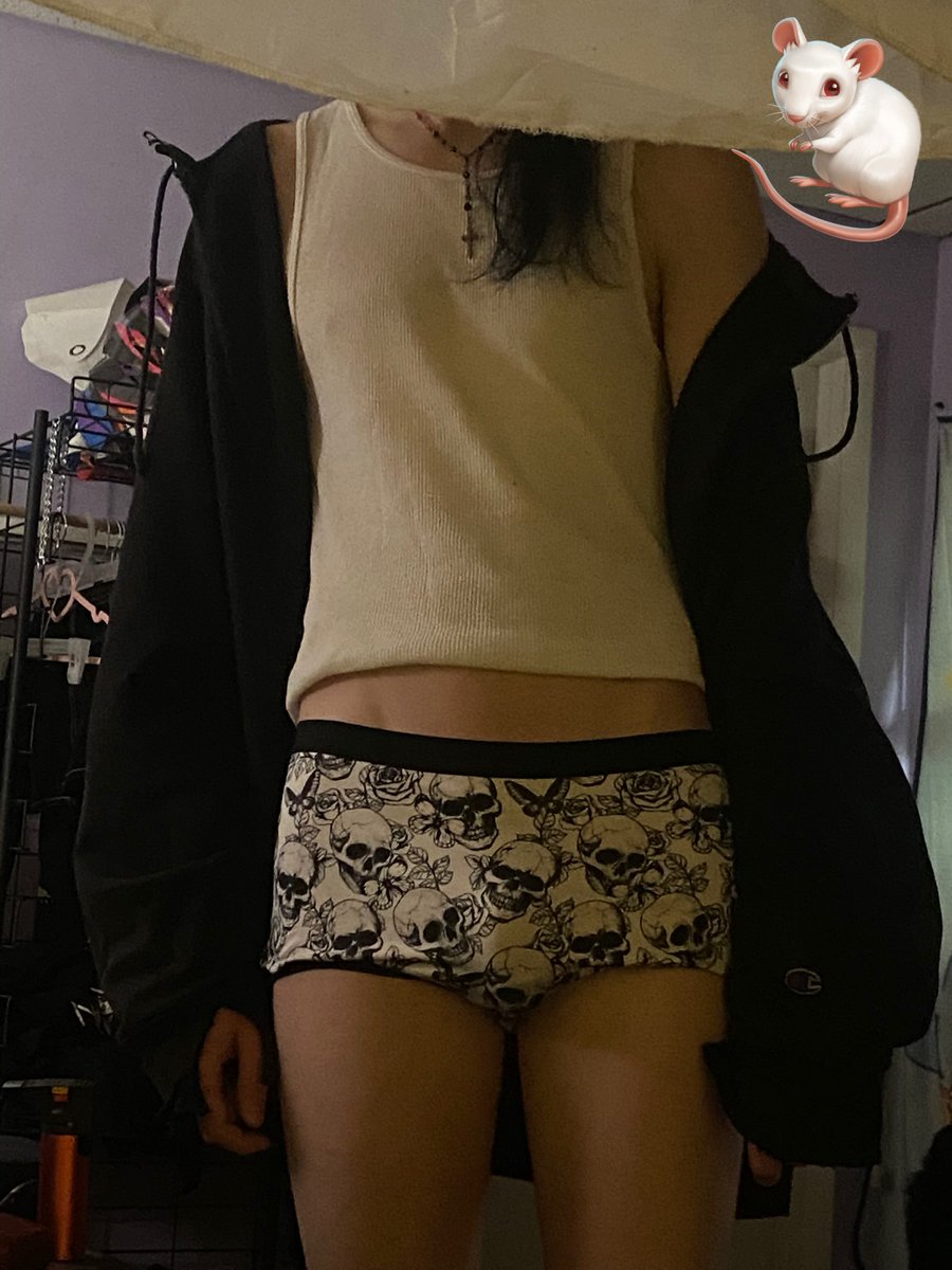 mouseisprey's tweet photo. ⚦ ⚢ GIRL &amp; GIRL ADJACENT ⚢ ⚦ 
welcum 2 da Mouse House……
-⃝⃤ wolf ┆ 19 ┆ it/its girl -⃝⃤
꒰  mouse ┆18 ┆she/they  ꒱
૮ฅ・ﻌ・აฅ mouse isnt on “X”
★ PROUD TRANSSEXUAL FREAK ★
T4T lesbian┆closed romantically┆open sexually
…more info otw ^.  ̫ .^⋆ ࣪.  ˖ ࣪⭑ https://t.co/8ScuRJ0hY5