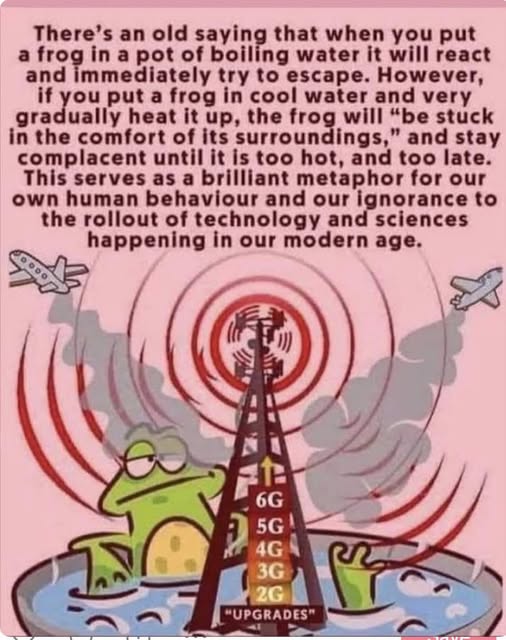 👇