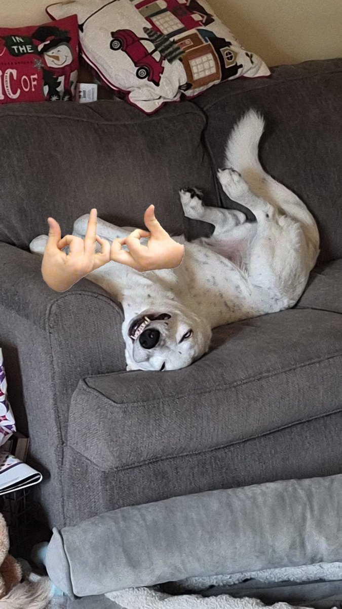 OMG Jax was throwing up blood earlier today