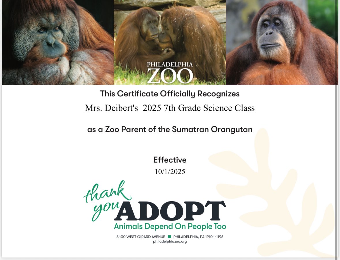 Amanda Deibert tweet media