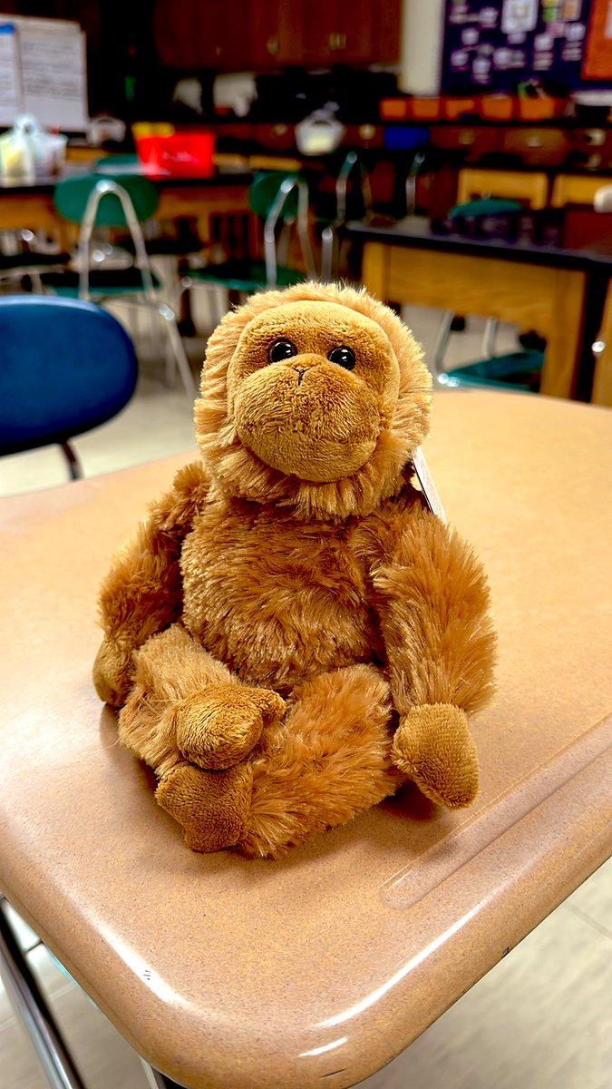 Amanda Deibert tweet media