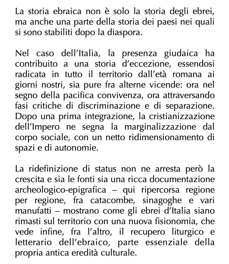 flr_louis's tweet image. Giancarlo Lacerenza - Gli ebrei nell’Italia antica

Dalla diaspora all&apos;età cristiana

Vient de paraître chez Carocci