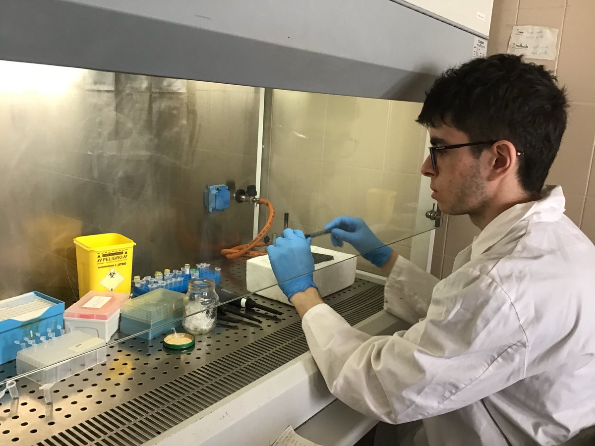 🧪🦠💊 Álvaro y Lucía (2.º BIE) han realizado en la ULE el análisis de aislados de Streptococcus suis, determinando su perfil de resistencia a antibióticos
#BIE #somosBIEsomosCiencia #proyectoantibióticos #ieslossauces #benavente #unileon <a href="/sauces49000391/">IES LOS SAUCES</a> <a href="/unileon/">Universidad de León</a>