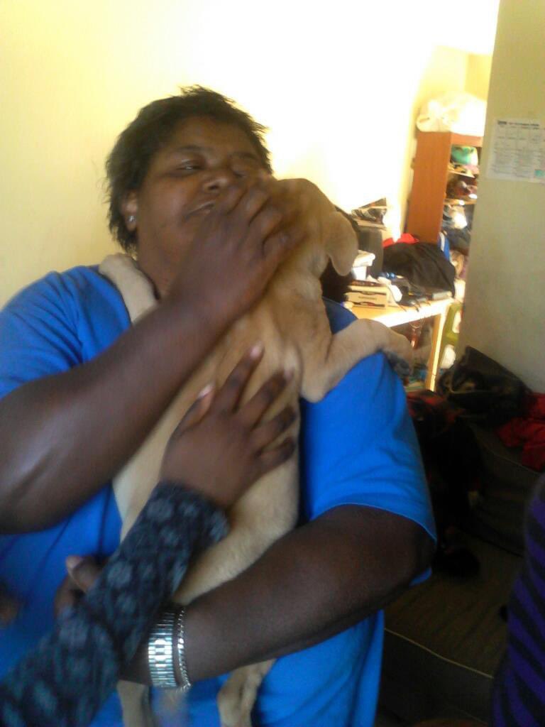 fiyagoddess's tweet image. Her name is Honey, it’s been over 4 years since she passed 🕊️ #Alldogsgotoheaven