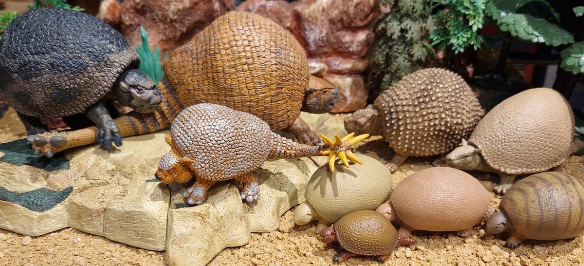 TetZoo's tweet image. New at Tetrapod Zoology .... The Life Appearance of Glyptodonts, a remarkable group of giant and anatomically amazing group of extinct armadillos tetzoo.com/blog/2025/11/1… #mammals